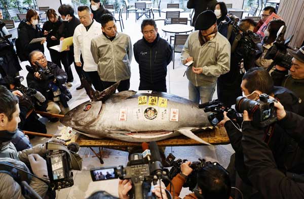 A bluefin tuna fetched 207 million yen