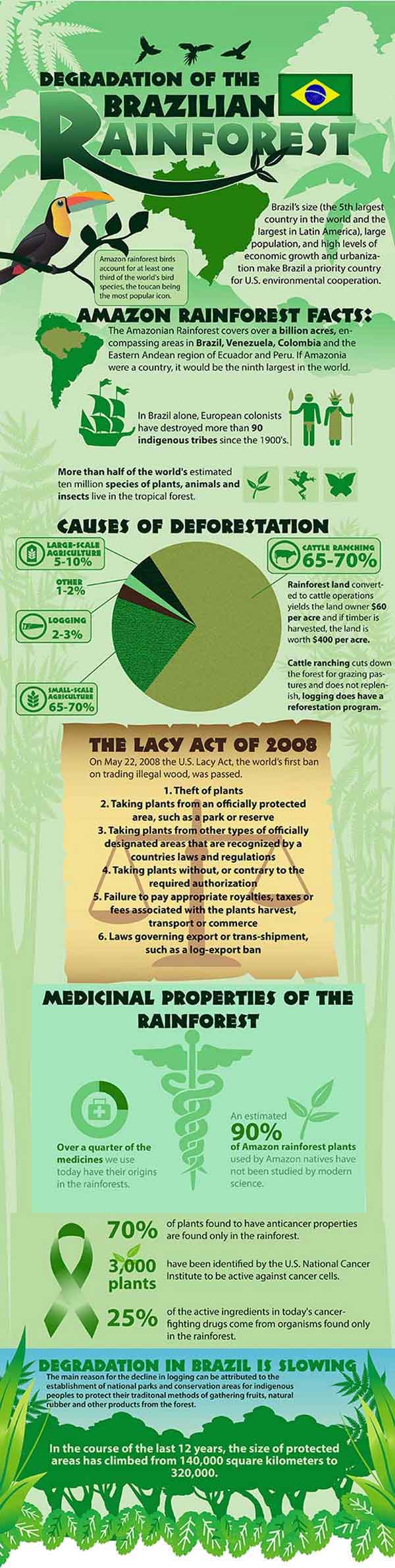 Brazil Deforestation