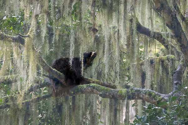 Jacquie Matechuk 2023 Nature Photographer of the Year