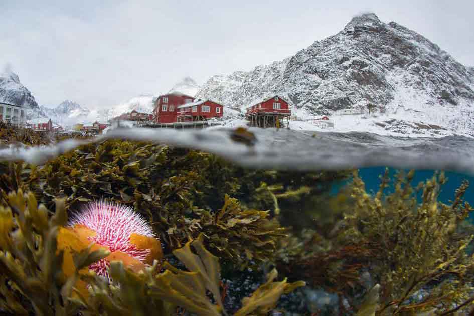 LOFOTEN, NORWAY