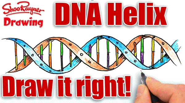 DNA