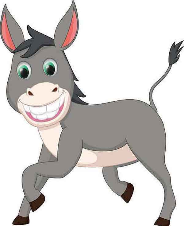 Donkey