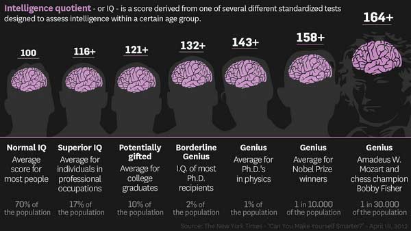 Intelligence Quotient