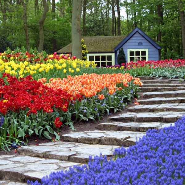 Keukenhof