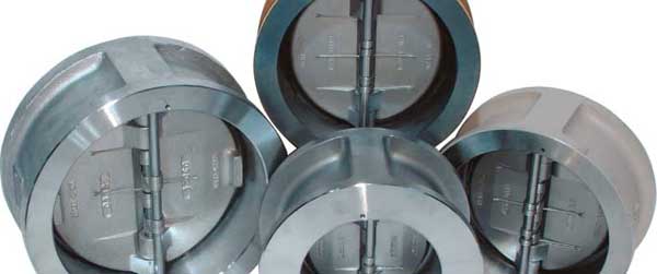 Non-slsm check valves